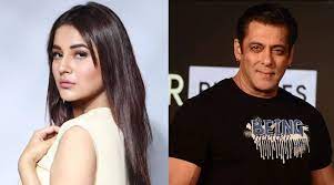 “These rumours are not true,” Shehnaaz Gill says in response to Salman Khan’s Kabhi Eid Kabhi Diwali exit reports