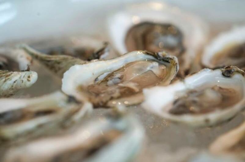 In a Texas restaurant, a man dies after contracting Vibrio vulnificus bacteria from fresh oysters.