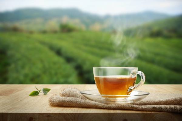 Milk tea or dark tea: What is better for you?