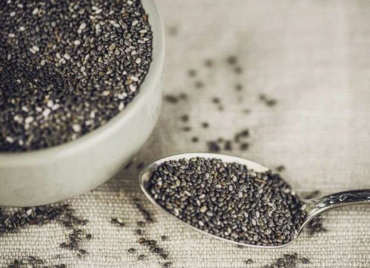 Nourishment alert: This is the very thing that a 28-gram serving of chia seeds contains