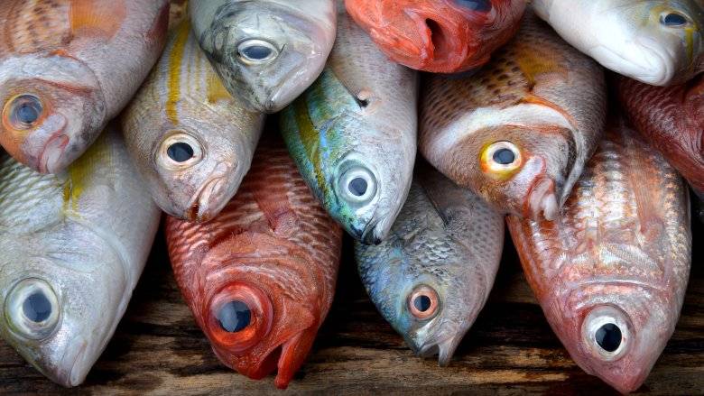 7 Food varieties to try not to eat with fish