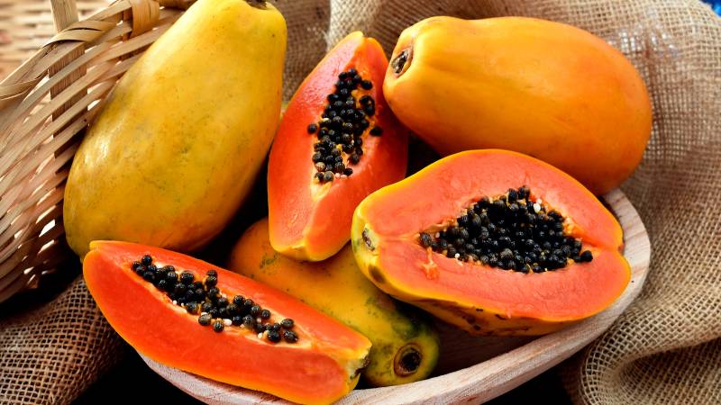 Papaya: Stalwart nourishment for good wellbeing