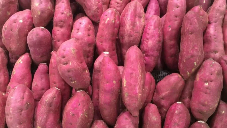 Incorporate Sweet Potatoes Into Your Diet to Enjoy These Advantages